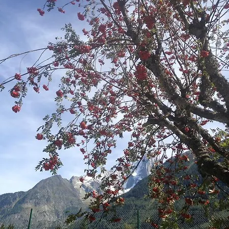Sud Studio * Chamonix